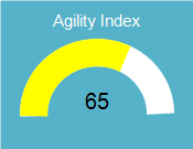 AgilityIndex